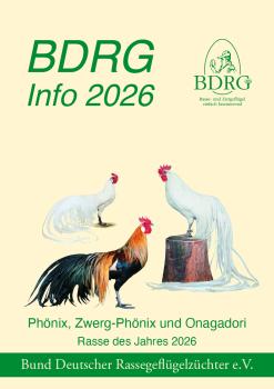 BDRG-Info 2026