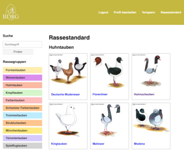 Digitaler Deutsche Rassetaubenstandard des BDRG 2025