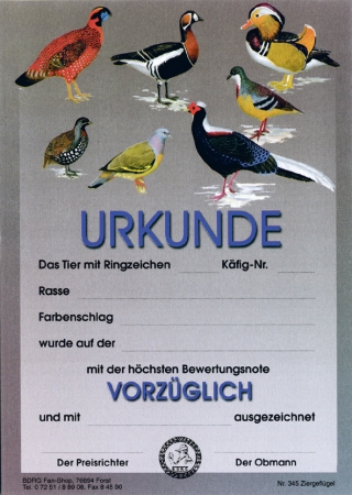 Urkunden "Vorzüglich" Ziergeflügel